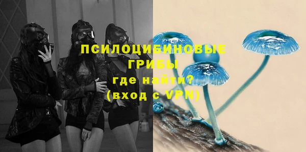 индика Семикаракорск