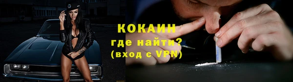 индика Семикаракорск