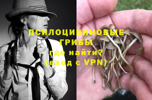 jwh Снежногорск